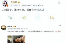 离婚一年后，佟丽娅与陈思诚都发生了什么？图片