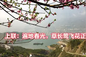 每日一对上联：遍地春光，草长莺飞花正艳；邀你对句图片