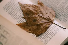 我把墙砌的很高，唯独给你留了条小道图片