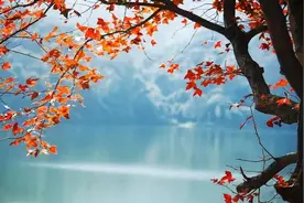 #抄书打卡#王蒙小说《蝴蝶》图片