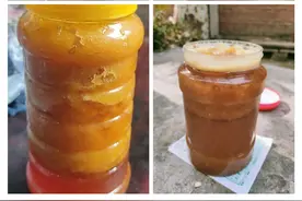 土蜂蜜的不同状态图片