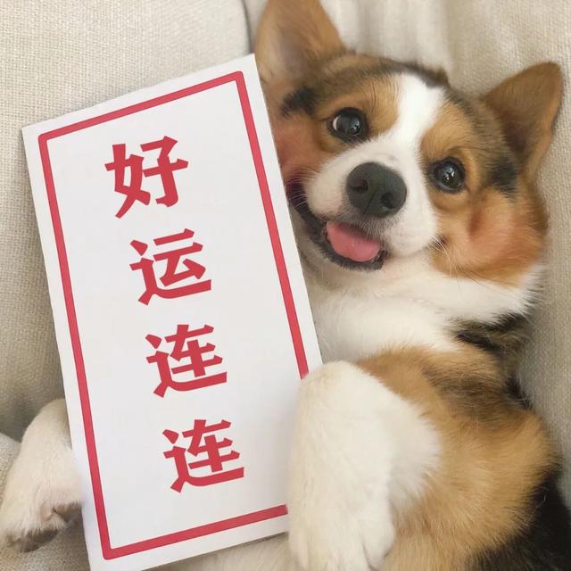 ������Ȧ�Ź����ز� | ����Ȧ����ͼ