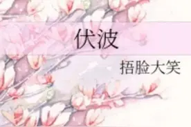 N部智商在线，超A，不小白不圣母的大女主文，文笔好，剧情爽图片