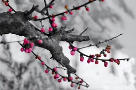 人老了，要学会在三个方面装糊涂，这才是大智慧图片
