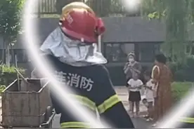 辽宁大连 消防员出警处置马蜂窝，遇小萌娃要签名图片