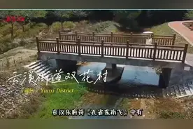 乡村新发现｜葳蕤生香，一片冰心在“玉竹”图片