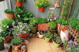 花卉生虫不用杀虫剂，采用这些方法既环保又卫生图片