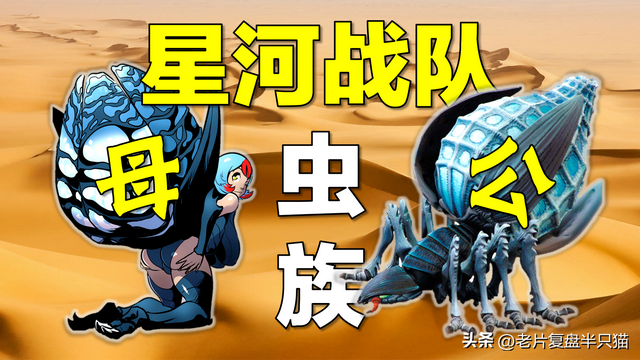 星际战队职业攻略隐藏（盘点星河战队虫族兵种）