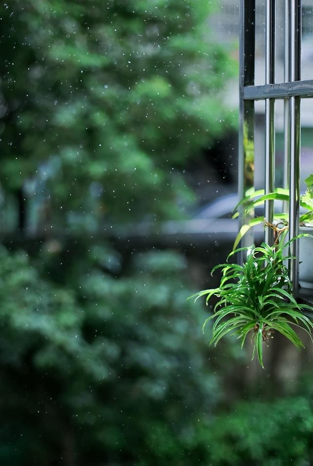「诗词鉴赏」夏天的那场大雨，那些大雨的诗词，大气磅礴雄阔壮观