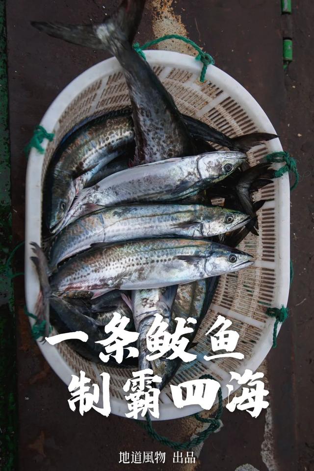马鲛鱼产地 马鲛鱼产地是哪个国家的