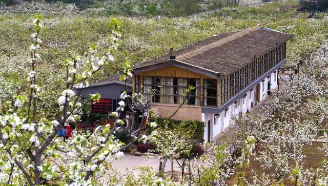 四川省民生研究会新媒体中心-官网