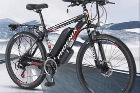 凤凰FH电动自行车测评：不要驾照，助力续航450公里，价格不高图片