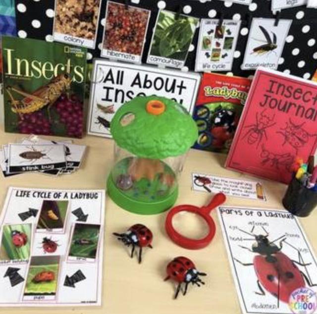 С��ѧ��̽��ϵ��֮�������׻�زİ�