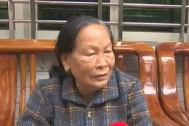 洋浦推出高龄长寿老人补贴快办业务 足不出户申领高龄补贴图片