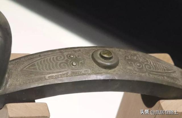 知了在声声叫着夏天，我们来蝉中说蝉，聊聊关于蝉的冷知识