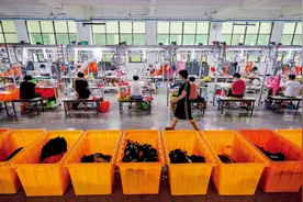 中国最神秘的独角兽，如何统领“蚂蚁军团”？图片