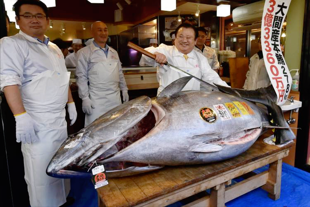 世界上最贵的鱼肉 2026年世界上最贵的鱼肉排行榜