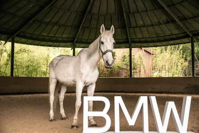 回顾｜宁波宝恒BMW大型豪华车品鉴之旅圆满结束