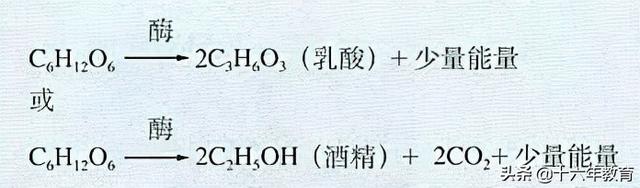 高中生物重要生化知识图解记忆（建议收藏）