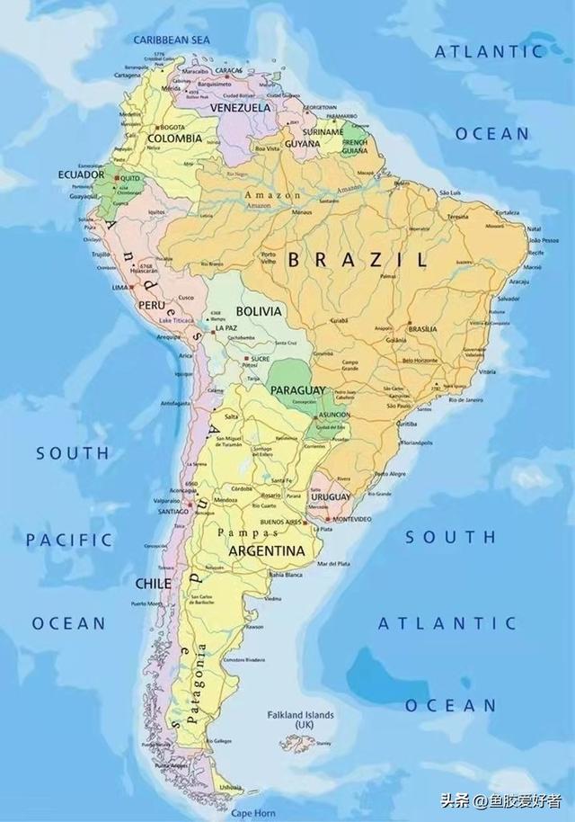 加拿大花胶什么牌子好 2025年加拿大花胶什么牌子好一点