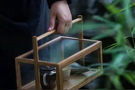 散文：人生一半一半，前半生执着，后半生释怀图片