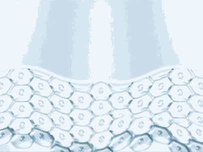 买一样味道的沐浴露和身体乳