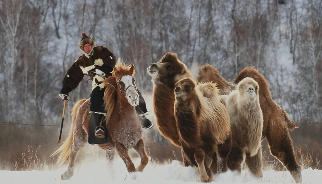 破万亿！内蒙古冷雪变热经济，这个冬天北疆彻底沸腾了