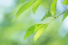 夏知暖，别太当真，这就是个游戏（2）图片