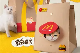 麦当劳人气猫窝回归，麦乐送外送到家场景再升级图片