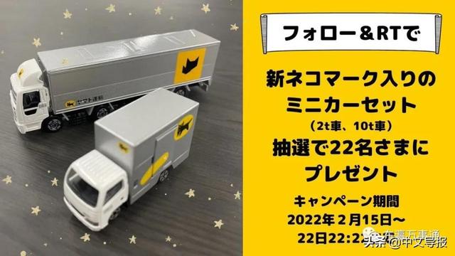 20220222:今天是百年难得一见的超级猫咪日