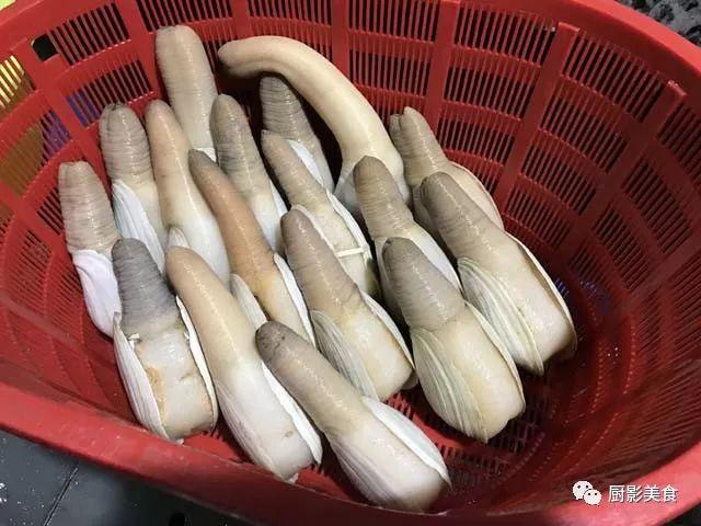 花胶选几级的 花胶等级顺序鱼胶排名大全