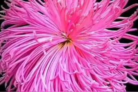 一个人一旦对你动了真情，这些细节就是证据，也是爱你的一种表现图片