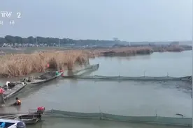 冬捕开网迎新春 年年有“鱼”销路旺图片