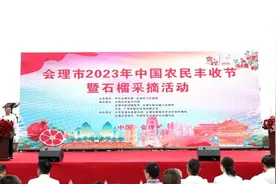 石榴精品会理石榴采摘开启：小果、低等级果、催熟果等混淆售卖 曾用滞销卖惨来带货图片