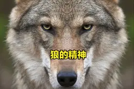 强者都具备的8个特征图片