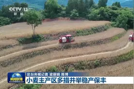 麦收进度已过九成！稳产保丰，小麦主产区有这些举措图片