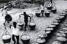 一组老照片，带你了解交公粮的场景，父辈们终生难忘的记忆图片