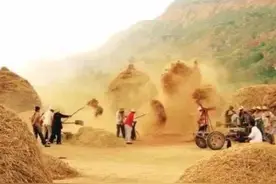 麦秸垛下的爱情故事，悲情的结局令人唏嘘不已图片