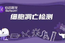 细胞凋亡检测竟然有这么多种方法？建议点赞收藏！图片