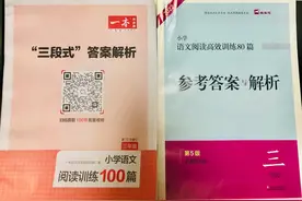 三年级语文 自用阅读理解教辅 一本+木头马图片