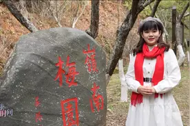 来韶关，一起“听”梅花绽放的声音图片