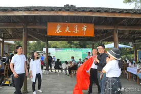 【明月春笋节】一口鲜笋 “咬”住春光图片