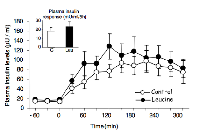 支链氨基酸作为老年营养关键共识，竟被美专家否定？营养师来解读