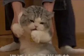 四只小猫被拴门口可怜巴巴，主人遭质疑虐猫，可得知真相后…拴得好哈哈图片