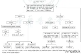 耳石症、梅尼埃病、前庭神经炎 — 头晕如何治疗？图片