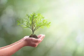 基金会的哪些收入可以免税图片