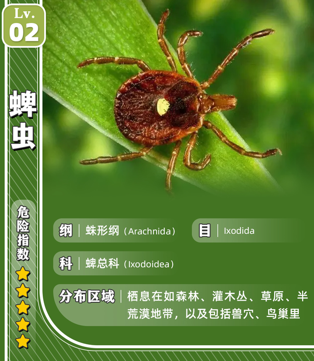 家里有虫子图片及名称 家里有虫子图片及名称爪子很多的_品学知识网