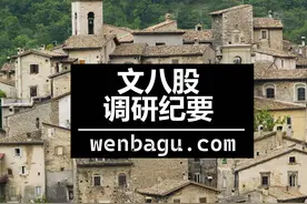 钛白粉及钛材料专家交流纪要–20230210图片