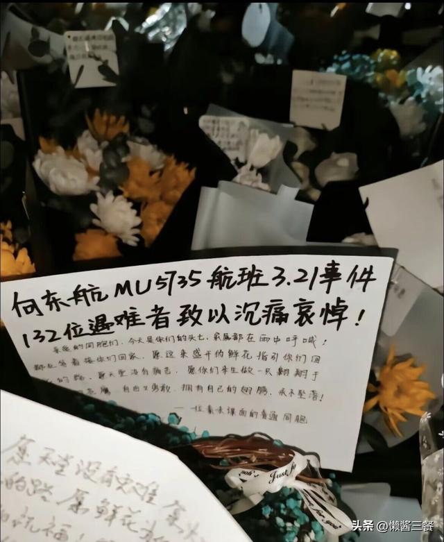 东航事故一年后航拍对比