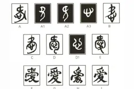 从汉字“爱”的演变看我们不知道的“爱”图片